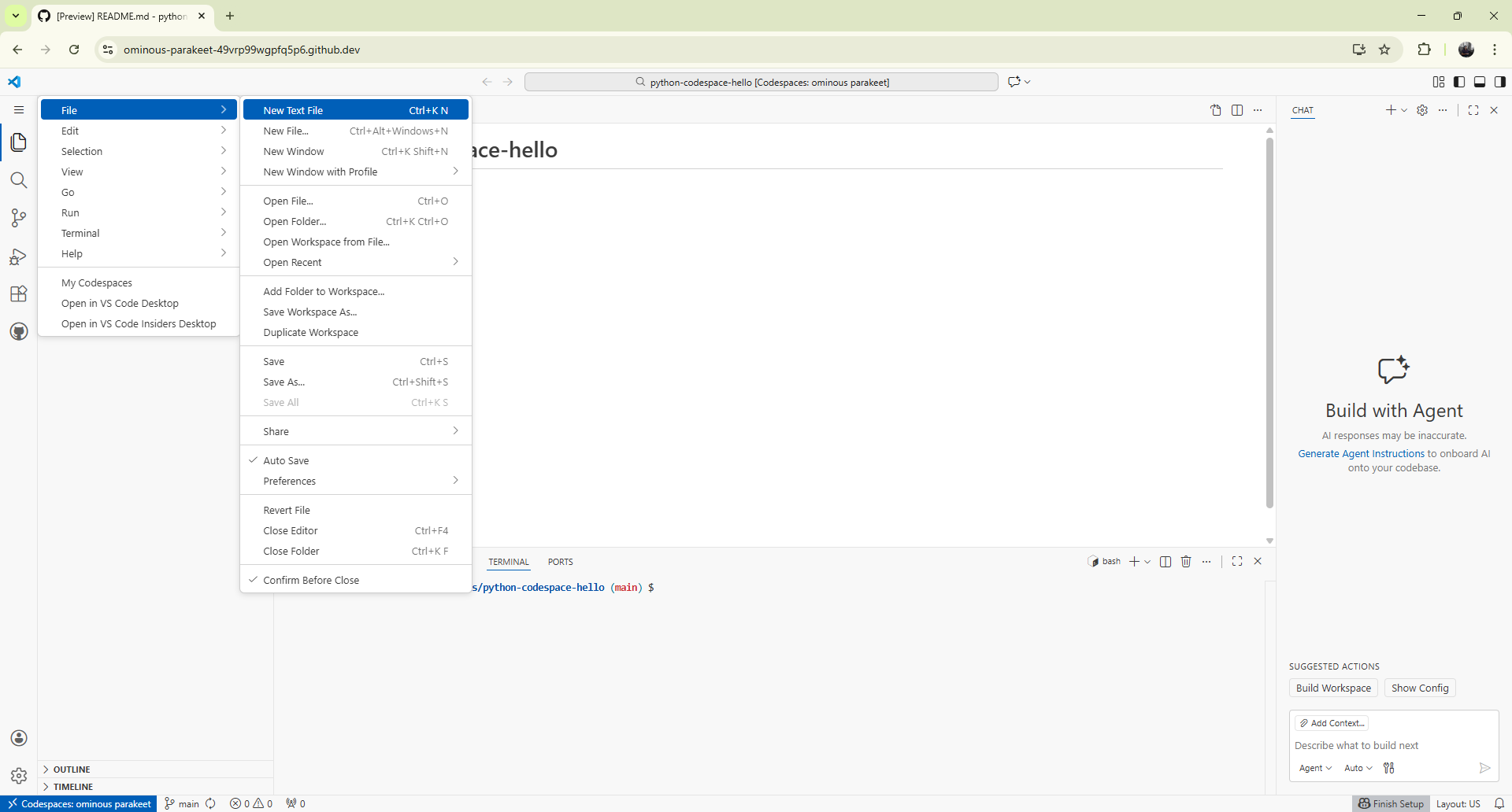 hello.py placeholder